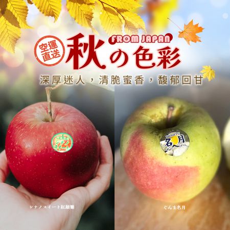 品味青森的深秋魅力❤免運費❤限量空運來台